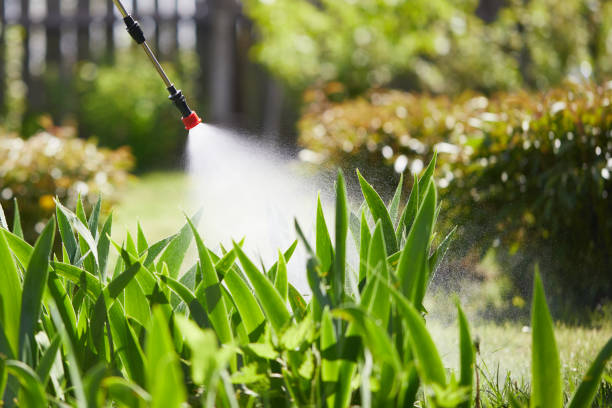 24/7 Emergency Termite Control experts in Ranchettes, WY